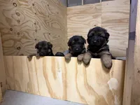 processed/fcdf36f9-c6a1-4f05-b196-702f597f6edb/listing/dbe17532-d9c3-43df-8f01-695c6e294fb8/5314abfa-057f-40b4-98d6-afa24545a0c7