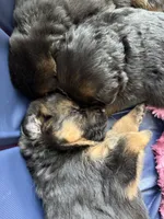 processed/fcdf36f9-c6a1-4f05-b196-702f597f6edb/listing/dbe17532-d9c3-43df-8f01-695c6e294fb8/54cd94cb-edd7-4f59-a643-f91405753df6