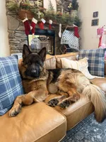 processed/fcdf36f9-c6a1-4f05-b196-702f597f6edb/listing/dbe17532-d9c3-43df-8f01-695c6e294fb8/5fab25e1-d823-4204-bd2e-0fb3691adc17