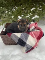 processed/fcdf36f9-c6a1-4f05-b196-702f597f6edb/listing/dbe17532-d9c3-43df-8f01-695c6e294fb8/86149d5e-2787-49aa-b49b-45b6845fb1ee