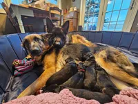 processed/fcdf36f9-c6a1-4f05-b196-702f597f6edb/listing/dbe17532-d9c3-43df-8f01-695c6e294fb8/f81fbf05-0a2c-4200-91ff-f97b9577cb7a