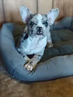 processed/fce2c7ff-2949-49e4-bd6e-516255684e0e/listing/e664050a-d2fb-4e6b-8f38-f690140d278b/b82c67f1-482f-4e59-8772-b973cd994eff