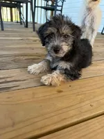 processed/fcf667a0-7168-4270-a3e6-e99f2cd6d524/facility/0965650d-489b-4202-9ecc-f4cad14c7fe2