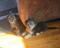 processed/fcf667a0-7168-4270-a3e6-e99f2cd6d524/facility/631132d9-c056-45fa-bd06-4fd06cc0e8ae