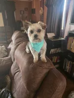 processed/fcf667a0-7168-4270-a3e6-e99f2cd6d524/facility/e1b87cc6-f0b5-4366-a6b6-bfdfef1de206