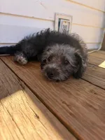 processed/fcf667a0-7168-4270-a3e6-e99f2cd6d524/facility/e379fd5e-d7e5-4bb9-8416-2e7d4791f43d