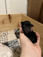 processed/fcfa7b6b-e4f3-456d-939d-ac0f7d3f2564/listing/1abac4dd-5485-47f3-8730-e3eaad62a244/52d5efd9-85cf-47d4-9c67-d3fc58013357