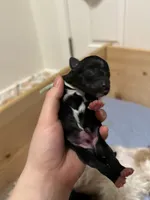 processed/fcfa7b6b-e4f3-456d-939d-ac0f7d3f2564/listing/254effb7-19a8-466b-914a-cd66579892cb/cad7ff23-5f18-438e-bdc7-850cca7ddcc1