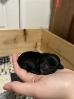 processed/fcfa7b6b-e4f3-456d-939d-ac0f7d3f2564/listing/47c38e12-5c22-45f3-9332-a84402727384/45d6bd6a-2f61-4ec9-9b73-90f27ac554ef