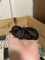 processed/fcfa7b6b-e4f3-456d-939d-ac0f7d3f2564/listing/a0f49521-d326-4e9f-beee-22400b2da515/1f81933d-cfbc-484b-a063-1ad5b668f3c4