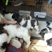 processed/fcfc6523-8b74-4887-acfc-5fbebf508260/facility/35fd4c99-76dc-4e98-96a5-d3cfbe3aaeda