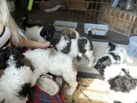 processed/fcfc6523-8b74-4887-acfc-5fbebf508260/facility/35fd4c99-76dc-4e98-96a5-d3cfbe3aaeda