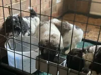 processed/fcfc6523-8b74-4887-acfc-5fbebf508260/facility/95d06c10-4d75-4d51-a022-9fdc4d2e8953