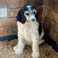 processed/fcfc6523-8b74-4887-acfc-5fbebf508260/facility/ca8ff3de-9cf9-4d5d-af9d-949735920b62