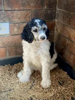 processed/fcfc6523-8b74-4887-acfc-5fbebf508260/facility/ca8ff3de-9cf9-4d5d-af9d-949735920b62