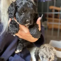 processed/fcfc6523-8b74-4887-acfc-5fbebf508260/facility/d482b274-a716-43b5-b740-4f393611f05b