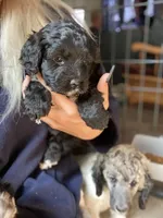 processed/fcfc6523-8b74-4887-acfc-5fbebf508260/facility/d482b274-a716-43b5-b740-4f393611f05b