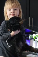 processed/fcfc6523-8b74-4887-acfc-5fbebf508260/listing/61006992-aad8-4d05-ba05-6990f0d2bad3/3cbb54f3-1f22-4e5b-a469-933957a05063