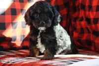 processed/fcfc6523-8b74-4887-acfc-5fbebf508260/listing/61006992-aad8-4d05-ba05-6990f0d2bad3/76cacbe1-1c3f-4809-875b-de8c99f7e8c6