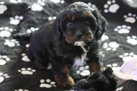 processed/fcfc6523-8b74-4887-acfc-5fbebf508260/listing/61006992-aad8-4d05-ba05-6990f0d2bad3/9630f1a8-d369-427e-a5ac-c99a9e955f4b