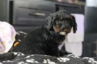 processed/fcfc6523-8b74-4887-acfc-5fbebf508260/listing/61006992-aad8-4d05-ba05-6990f0d2bad3/9d32c58f-8f44-4942-b227-16d62073742c