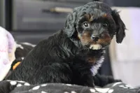 processed/fcfc6523-8b74-4887-acfc-5fbebf508260/listing/61006992-aad8-4d05-ba05-6990f0d2bad3/b45bb652-94a6-408a-a410-210378f57638