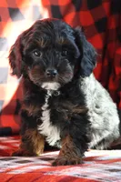 processed/fcfc6523-8b74-4887-acfc-5fbebf508260/listing/61006992-aad8-4d05-ba05-6990f0d2bad3/c6b5b6ea-8fdb-40a6-8e5f-8fc49012b582