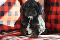 processed/fcfc6523-8b74-4887-acfc-5fbebf508260/listing/61006992-aad8-4d05-ba05-6990f0d2bad3/cec2ddfe-f050-44ac-bf24-0915b4dd787c