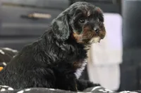 processed/fcfc6523-8b74-4887-acfc-5fbebf508260/listing/61006992-aad8-4d05-ba05-6990f0d2bad3/e256c8cf-837b-4626-b60a-9919c65d48a1