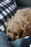 processed/fcfc6523-8b74-4887-acfc-5fbebf508260/listing/c61d1bb7-b4e5-48c5-83ec-cadc626203df/57f7147e-d1d2-494c-9c7b-c6bc97584e36