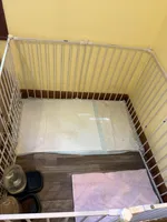 processed/fd0ba6ab-2e26-40c4-ac2e-3d3eb40995d2/facility/10a3e4aa-b4ef-4ad8-aa42-194373b6a386