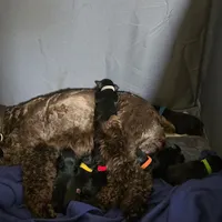 processed/fd0ef006-06b5-47f5-832d-17d0c315d491/facility/2636d9b5-be2c-4c35-a94a-7c599487b86d