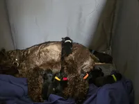 processed/fd0ef006-06b5-47f5-832d-17d0c315d491/facility/2636d9b5-be2c-4c35-a94a-7c599487b86d