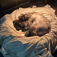 processed/fd0ef006-06b5-47f5-832d-17d0c315d491/facility/529bd085-40f6-4503-b0da-ea300d0bb943