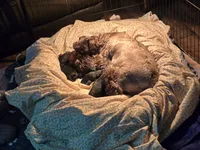 processed/fd0ef006-06b5-47f5-832d-17d0c315d491/facility/529bd085-40f6-4503-b0da-ea300d0bb943