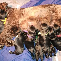 processed/fd0ef006-06b5-47f5-832d-17d0c315d491/facility/7da77f2d-6a25-45a8-96c9-d604b6e0ea3f