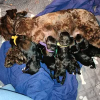 processed/fd0ef006-06b5-47f5-832d-17d0c315d491/facility/d8565158-0157-4fad-b3e1-f77fc4131baf