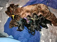 processed/fd0ef006-06b5-47f5-832d-17d0c315d491/facility/d8565158-0157-4fad-b3e1-f77fc4131baf