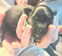 processed/fd0ef006-06b5-47f5-832d-17d0c315d491/listing/cf2f2b52-8be1-4135-9c0a-0a09dc229bfe/6ad28fcd-b213-4449-8be3-083685ccc540