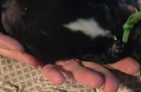 processed/fd0ef006-06b5-47f5-832d-17d0c315d491/listing/cf2f2b52-8be1-4135-9c0a-0a09dc229bfe/bf33a7a8-105a-42e1-86b5-6fafaea24a78