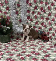 processed/fd1712d7-c714-41bf-946c-bd1eaef60545/listing/1dff66e2-a84c-4a32-927d-5b6c2f709189/20288ca1-72e0-4349-9cd8-dfcca6d9d340