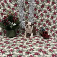 processed/fd1712d7-c714-41bf-946c-bd1eaef60545/listing/1dff66e2-a84c-4a32-927d-5b6c2f709189/3f0f0883-5b51-4b01-a67c-5f34c6263f3d