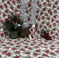 processed/fd1712d7-c714-41bf-946c-bd1eaef60545/listing/1dff66e2-a84c-4a32-927d-5b6c2f709189/c587b49c-06d6-482e-a8c0-8c9a930834fd