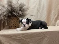 processed/fd1712d7-c714-41bf-946c-bd1eaef60545/listing/dcfd2628-487a-437d-9b56-ea294ea5aa6c/3ee0ebdd-c28c-4b06-9ed9-cce5f560a064