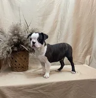 processed/fd1712d7-c714-41bf-946c-bd1eaef60545/listing/dcfd2628-487a-437d-9b56-ea294ea5aa6c/ac4b029a-881e-4416-abc1-c658c2133caf