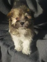 processed/fd2bc8f7-328e-4e05-9fe9-03b6bcc83078/listing/054f9a64-755f-49de-9908-d38c29c8417f/0ef50964-847f-4ef9-8e6d-37f9e2316635