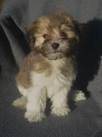 processed/fd2bc8f7-328e-4e05-9fe9-03b6bcc83078/listing/054f9a64-755f-49de-9908-d38c29c8417f/263e1cbd-fa3a-4fdb-99c2-1f80ca843c82