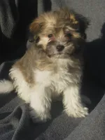 processed/fd2bc8f7-328e-4e05-9fe9-03b6bcc83078/listing/054f9a64-755f-49de-9908-d38c29c8417f/37fc930e-29f3-4fe9-bb07-fac28508967f