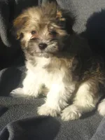 processed/fd2bc8f7-328e-4e05-9fe9-03b6bcc83078/listing/054f9a64-755f-49de-9908-d38c29c8417f/4afd072a-2b98-4fc5-acff-45529febaefc