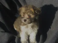 processed/fd2bc8f7-328e-4e05-9fe9-03b6bcc83078/listing/054f9a64-755f-49de-9908-d38c29c8417f/8ebba08d-1463-4d69-b901-a559e95ce6a8